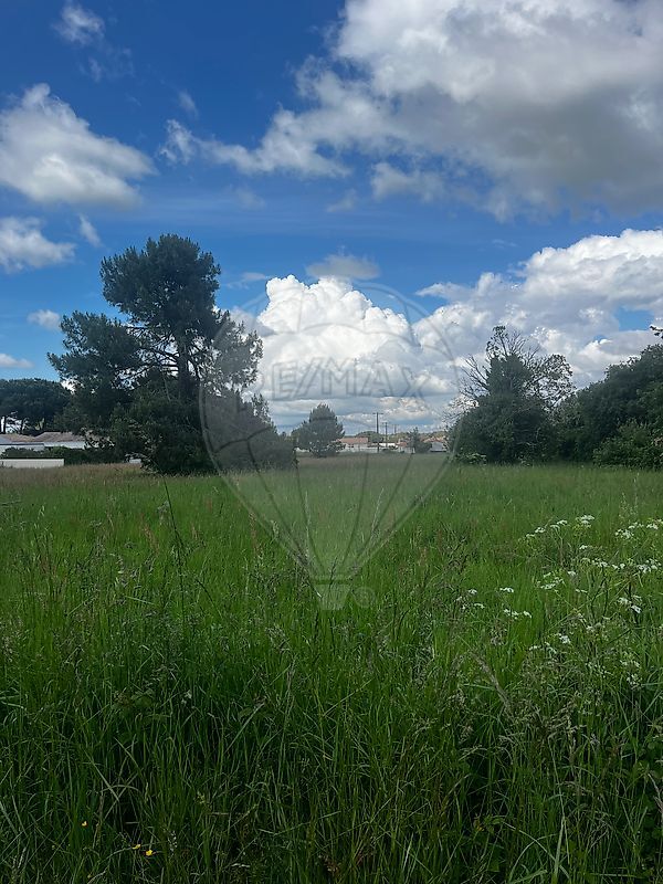 Terrain  à vendre Saint-Augustin 17570