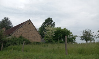Photo N° 15