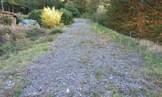 Photo N° 4