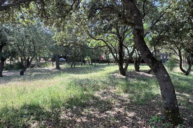 Terrain  241500 €