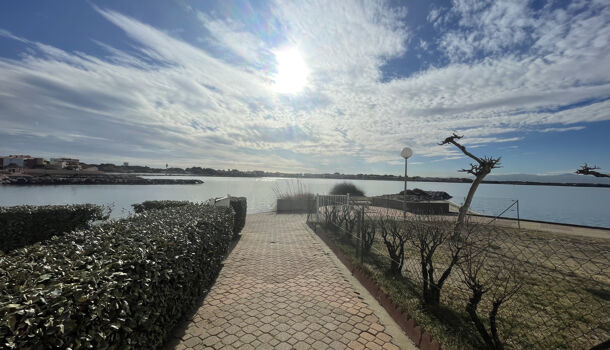 Appartement 2 pièces  à louer Barcarès (Le) 66420