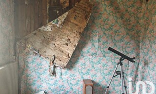 Photo N° 6