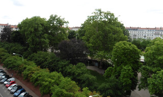 Photo N° 6