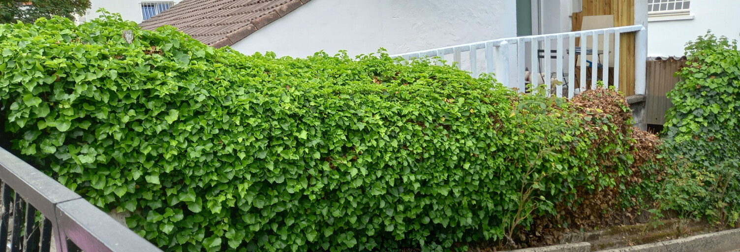 Maison 5 Pièces 150 m² à vendre à Royan (17200)