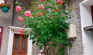 Photo N° 4