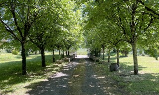 Photo N° 2