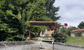Photo N° 3