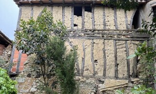 Photo N° 3
