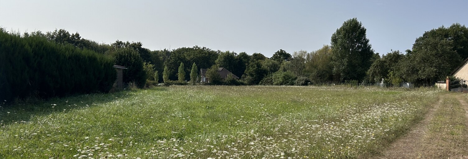Terrain  2744 m² à vendre à La Marolle-en-Sologne (41210)