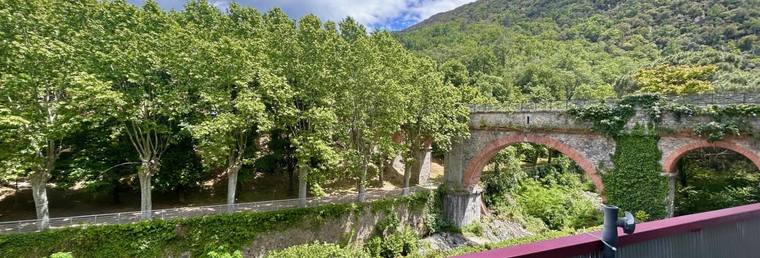 Appartement 1 Pièce 23 m² à vendre à Amélie-les-Bains-Palalda (66110)