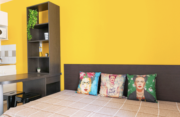 Opportunité d'Investissement en LMNP sous Bail Commercial - — photo 2