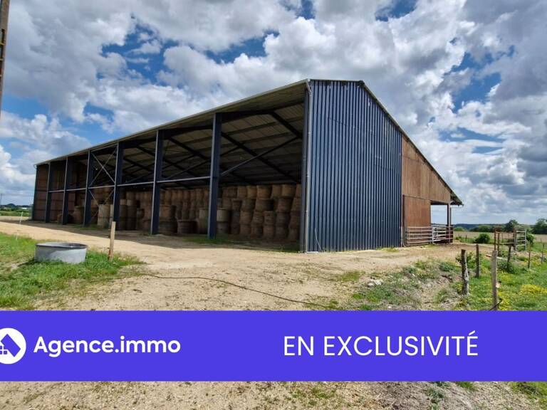 HANGAR + 8 HECTARES DE PRE — photo 1