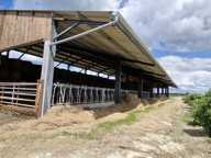 HANGAR + 8 HECTARES DE PRE — photo 3