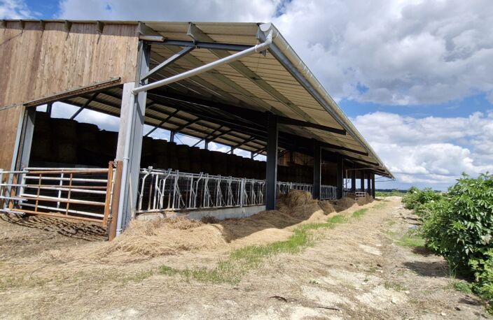 HANGAR + 8 HECTARES DE PRE — photo 3