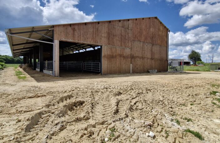 HANGAR + 8 HECTARES DE PRE — photo 4