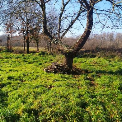 Terrain  97000 €