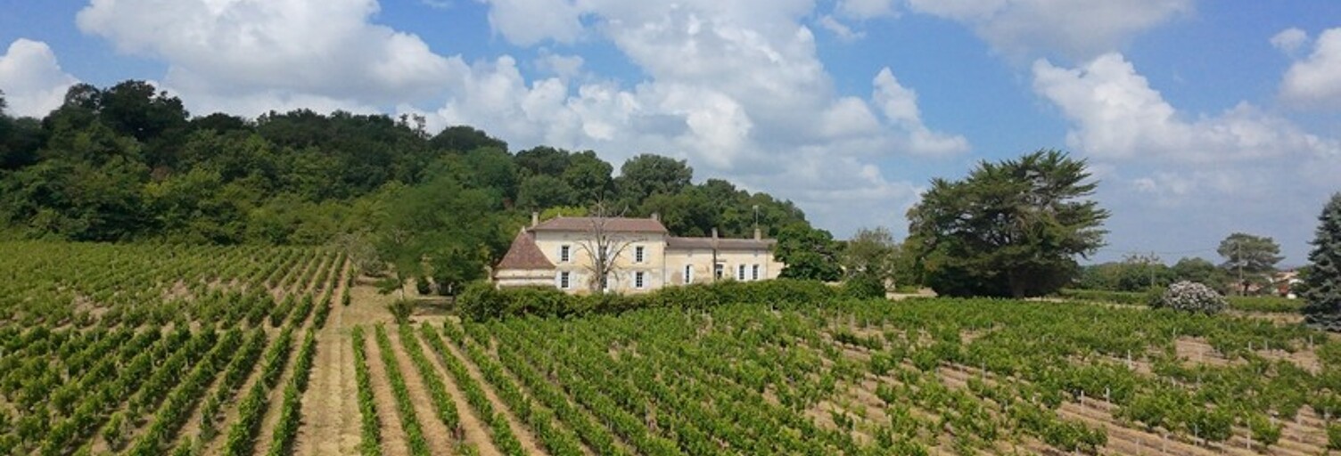 Maison 10 Pièces 258 m² à vendre à Moulon (33420)