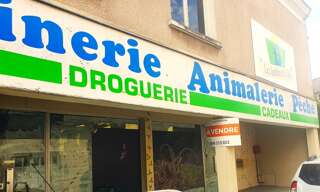Commerce 1 Pièce 370 m² à vendre à L'Île-Bouchard (37220)