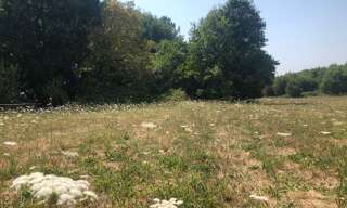 Terrain  1762 m² à vendre à Saint-Front-de-Pradoux (24400)