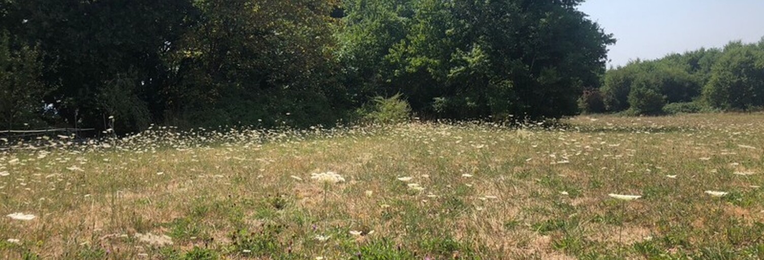 Terrain  1762 m² à vendre à Saint-Front-de-Pradoux (24400)