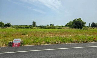Photo N° 4