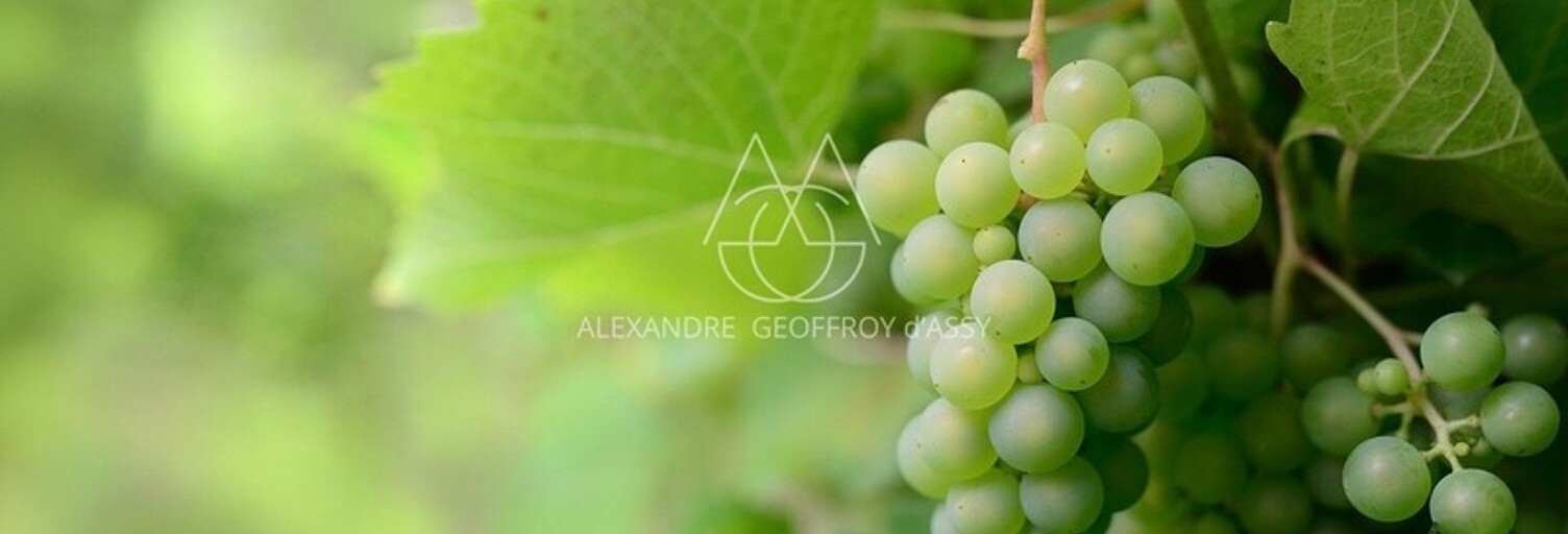 Maison 5 Pièces 600 m² à vendre à Vouvray (37210)