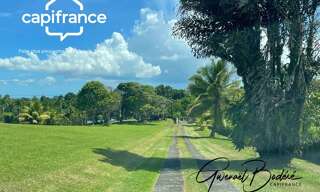 Terrain  1145 m² à vendre à Petit-Bourg (97170)