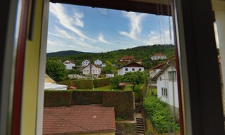 Photo N° 10