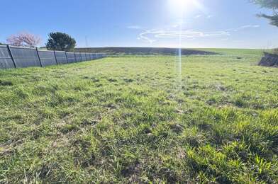 Terrain  80000 €