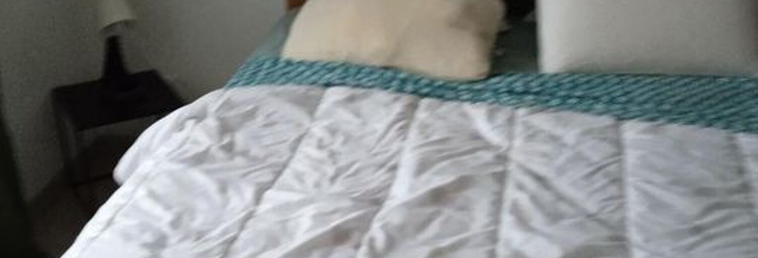 Appartement 1 Pièce 12 m² à louer à Cornillon-Confoux (13250)