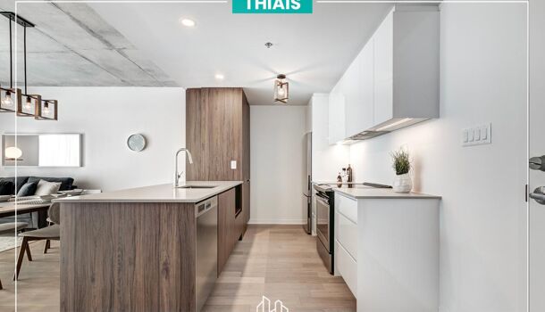 Appartement 3 pièces  à vendre Thiais 94320