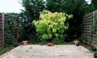 Photo N° 4