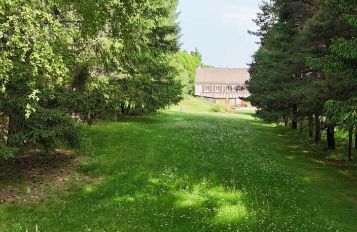 Propriété — photo 4
