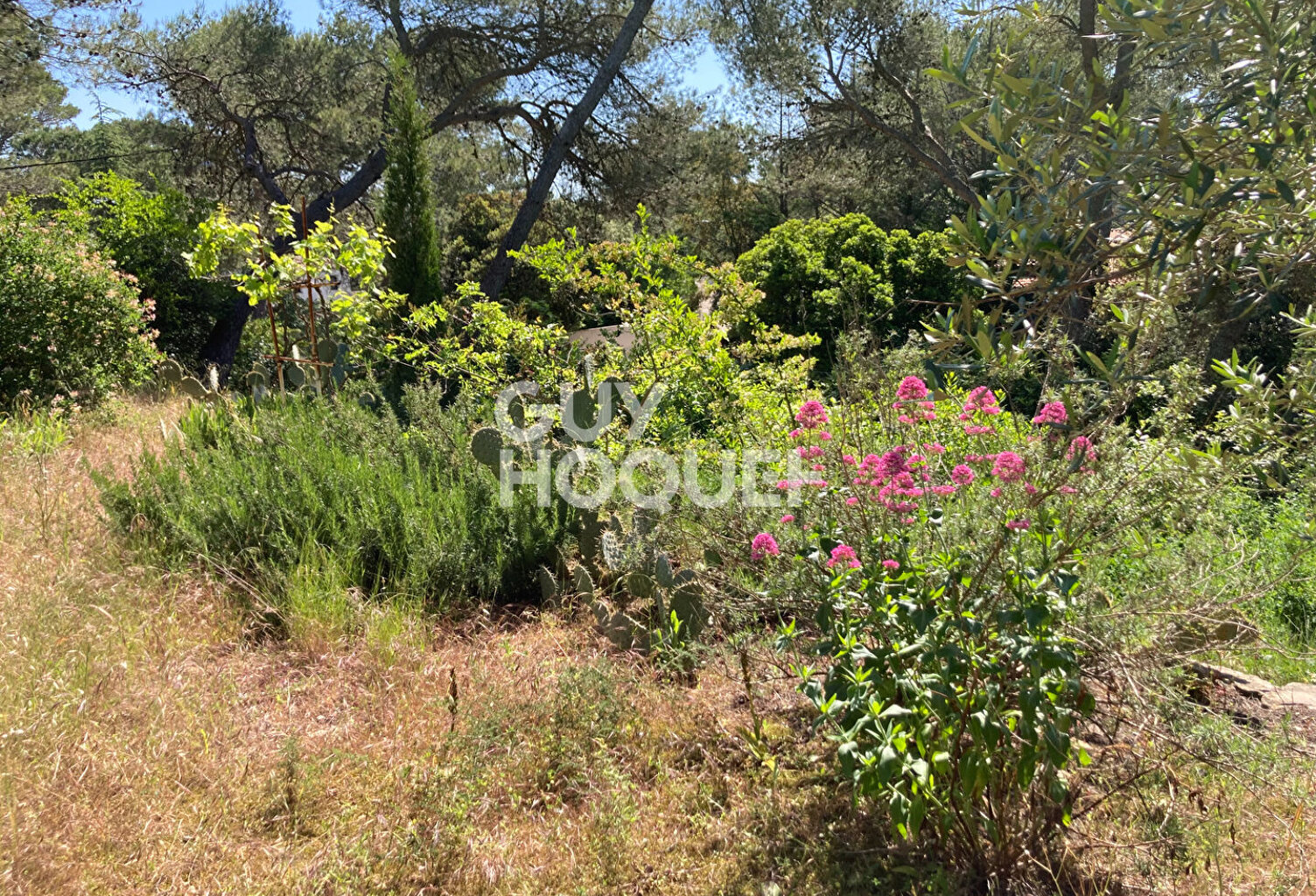 Terrain à vendre à CAVEIRAC — photo 1