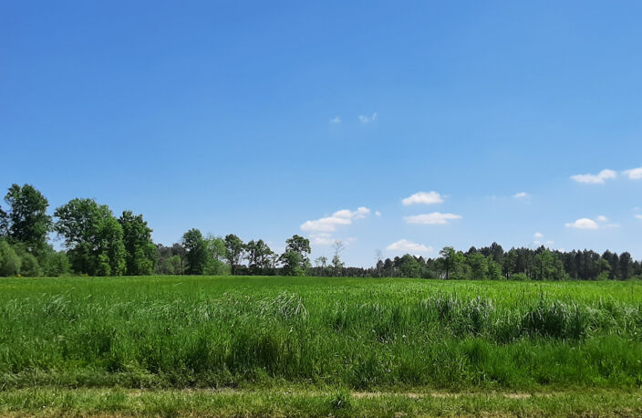 Ferme bazadaise en pierre, 120 m2, dépendances sur 15 ha de — photo 2