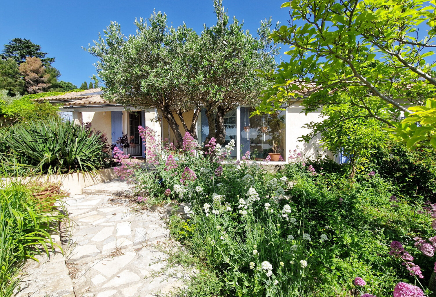 Maison traditionnelle — photo 1