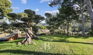 Maison 5 Pièces  m² à vendre à Cassis (13260)