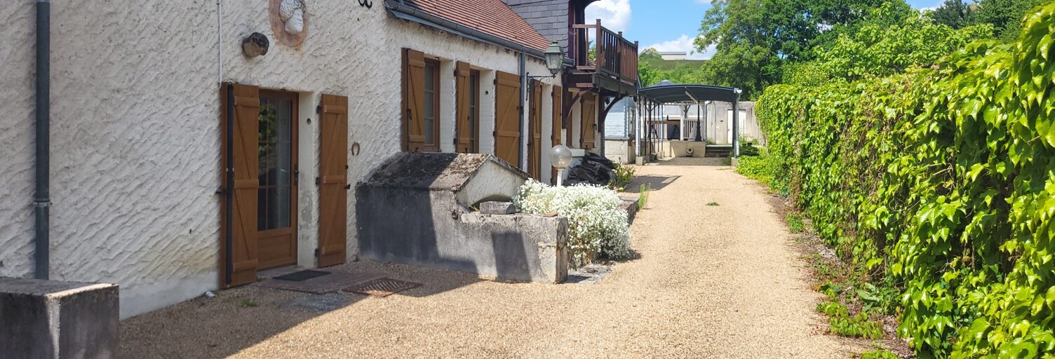 Maison 114 m² en viager Valencisse (41190)