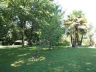40700 HAGETMAU / MAISON T6 DE 185 M2 ENVIRON / 5 CHAMBRES / PISC — photo 3
