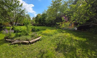 Photo N° 3