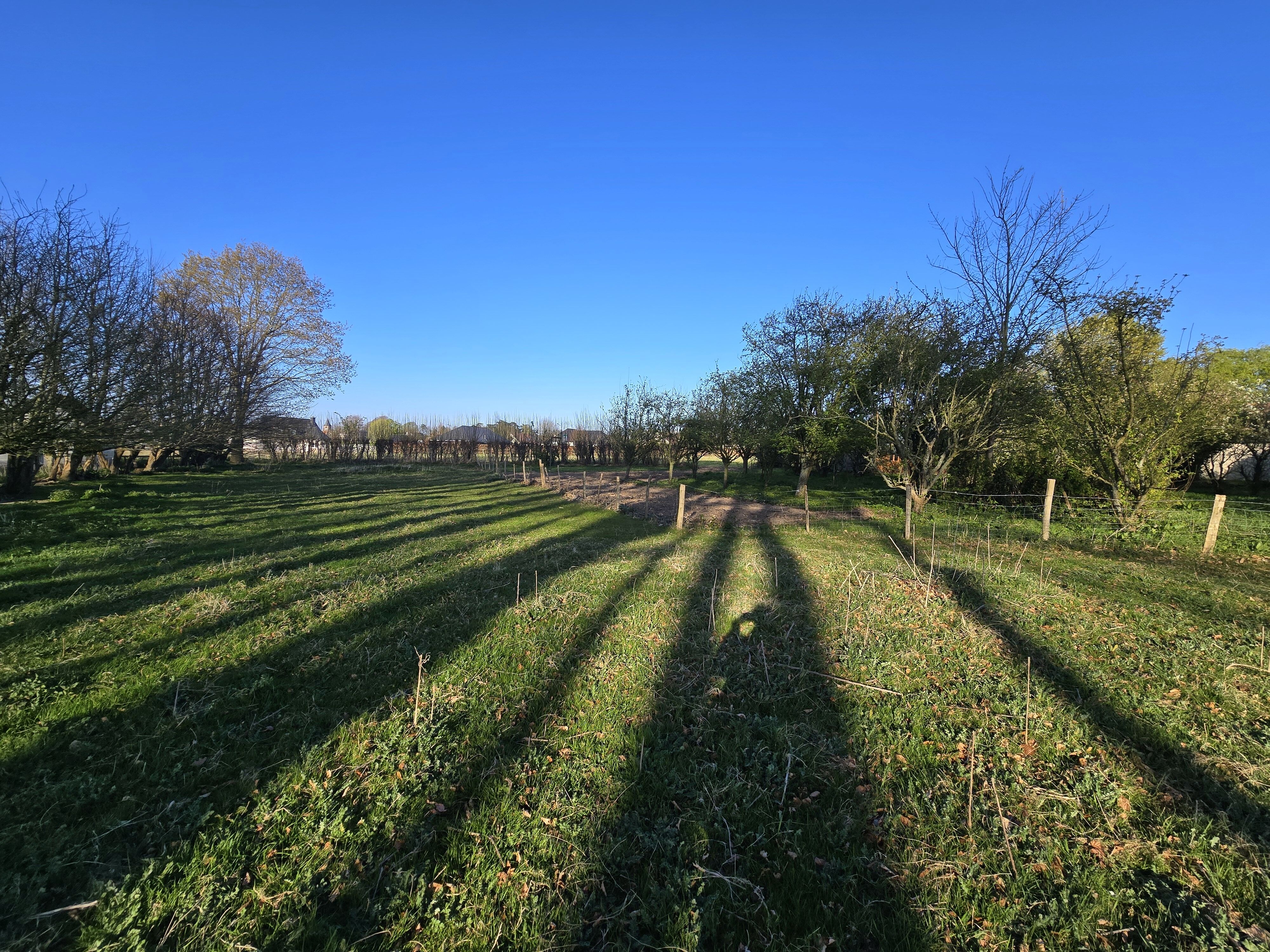 Photo Axe Fécamp / Goderville, hors lotissement à la campagne terrain à bâtir à vendre image 2/2