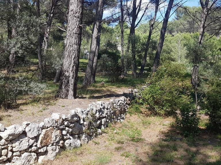Terrain de loisirs (non constructible) — photo 1