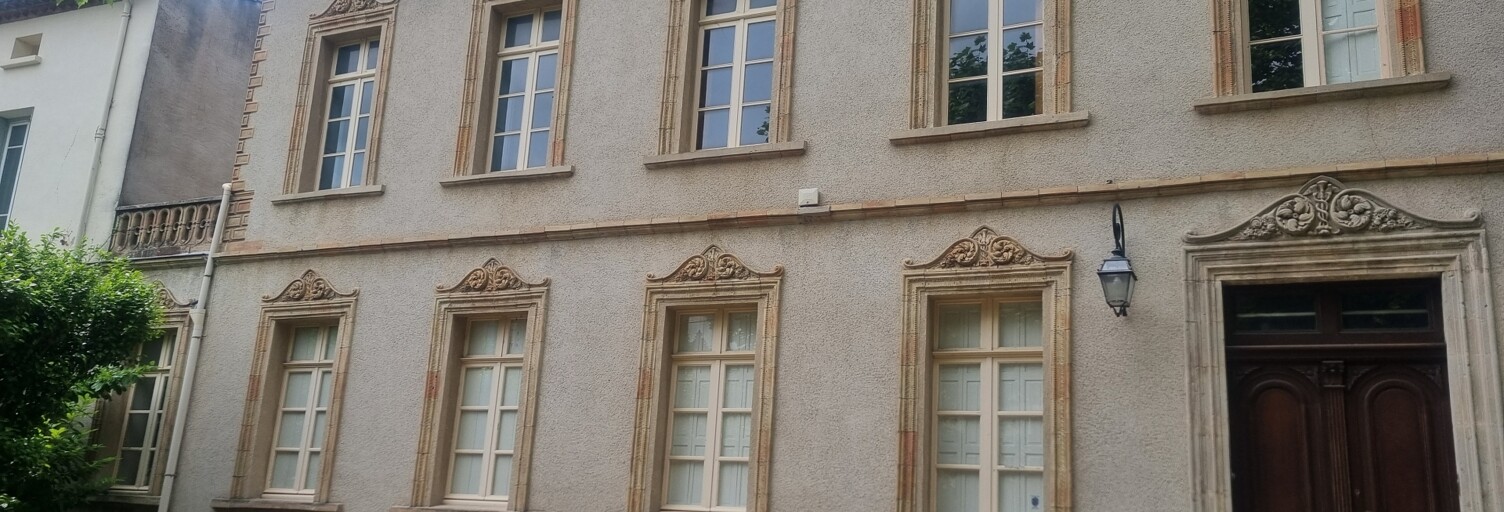 Maison 9 Pièces 331 m² à vendre à Mazamet (81200)