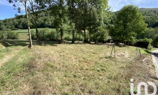 Photo N° 4