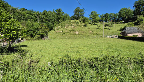Terrain  à vendre Bessuéjouls 12500