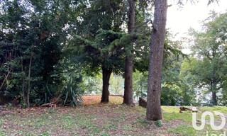Photo N° 4