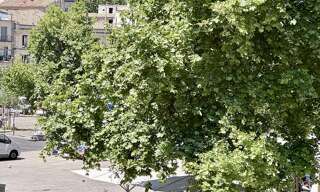 Appartement 3 Pièces 75 m² à vendre à Avignon (84000)