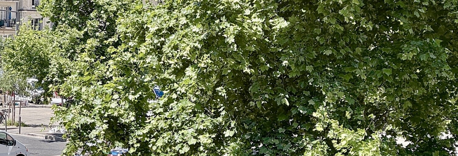 Appartement 3 Pièces 75 m² à vendre à Avignon (84000)