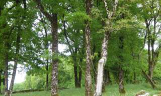 Terrain  1410 m² à vendre à Gorses (46210)