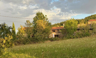 Photo N° 14